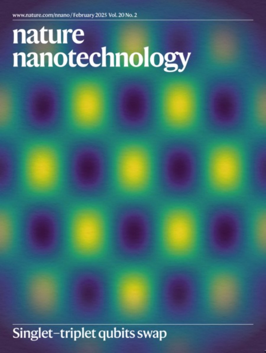 Nature Nanotechnology_Volume 20 Issue 2, February 2025 电子版PDF