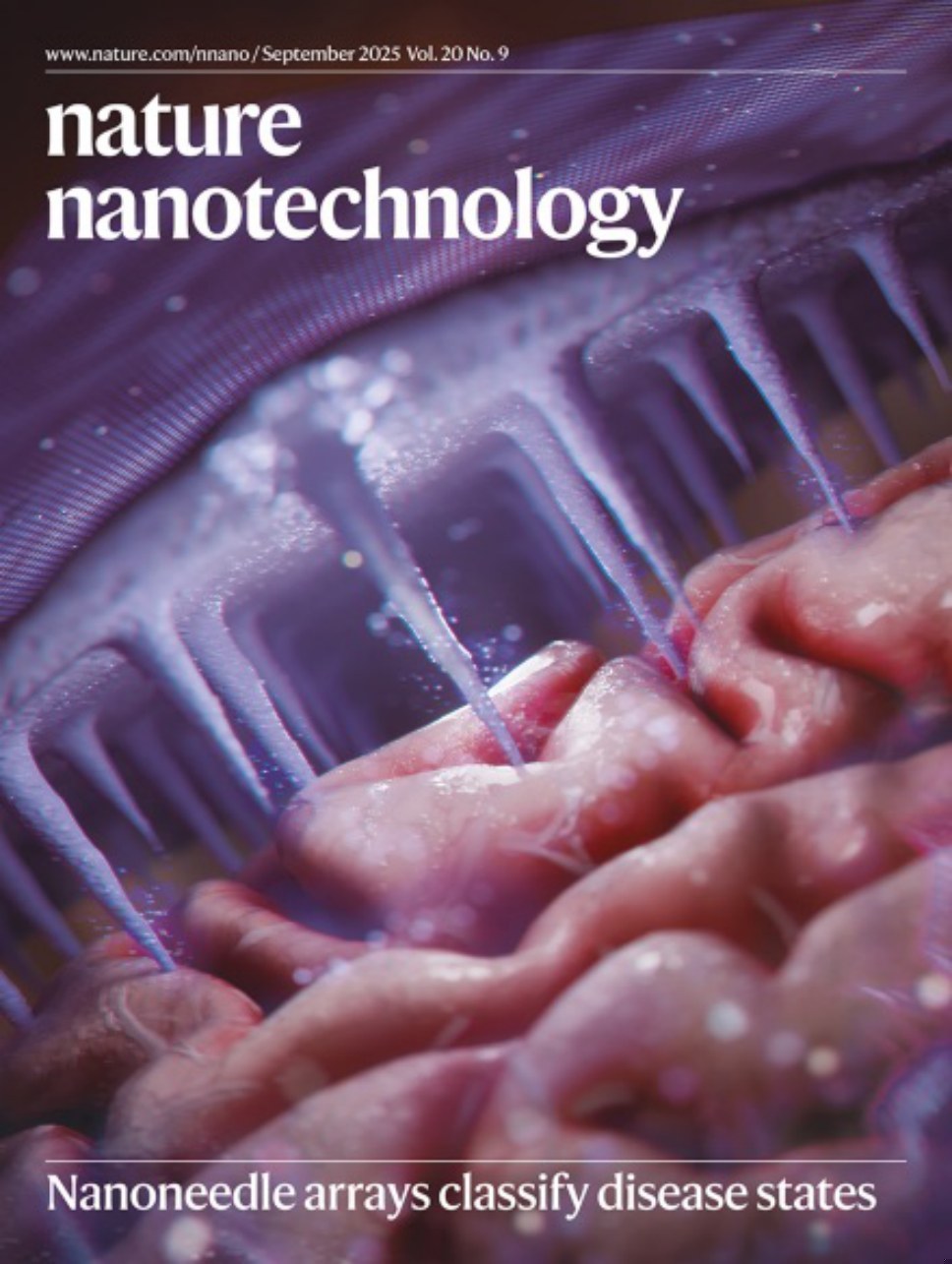 Nature Nanotechnology-Volume 20 Issue 9, September 2025 电子版PDF(图1)