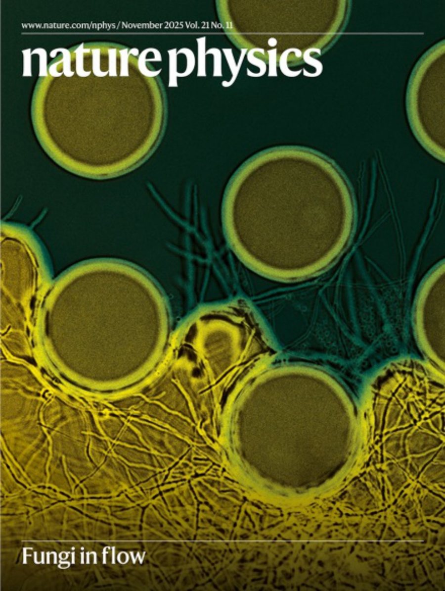 Nature Physics-Volume 21 Issue 11, November 2025 电子版PDF