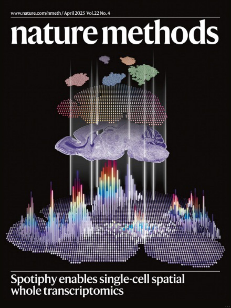 Nature Methods_Volume 22 Issue 4, April 2025 电子版PDF(图1)