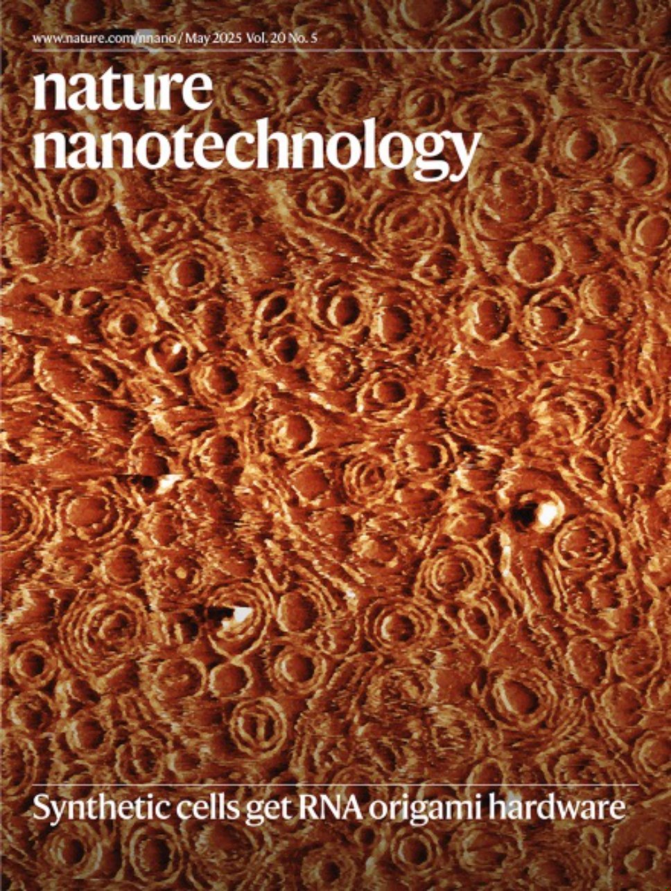 Nature Nanotechnology-Volume 20 Issue 5, May 2025 电子版PDF(图1)