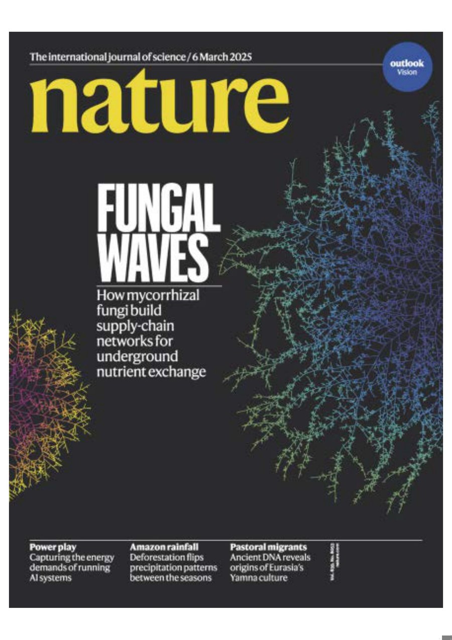 Nature magazine-2025.03.06 电子版PDF