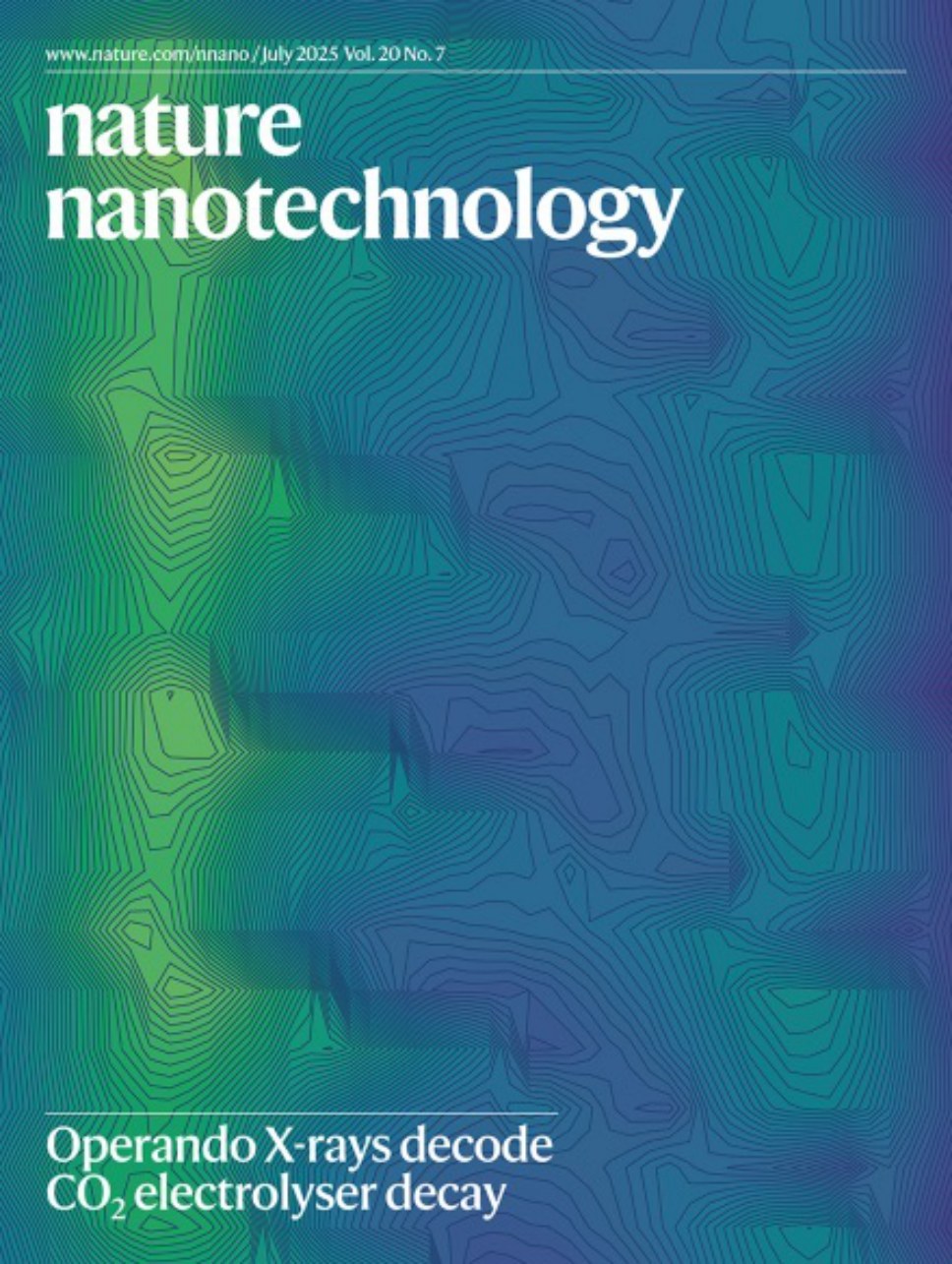 Nature Nanotechnology-Volume 20 Issue 7, July 2025 电子版PDF(图1)
