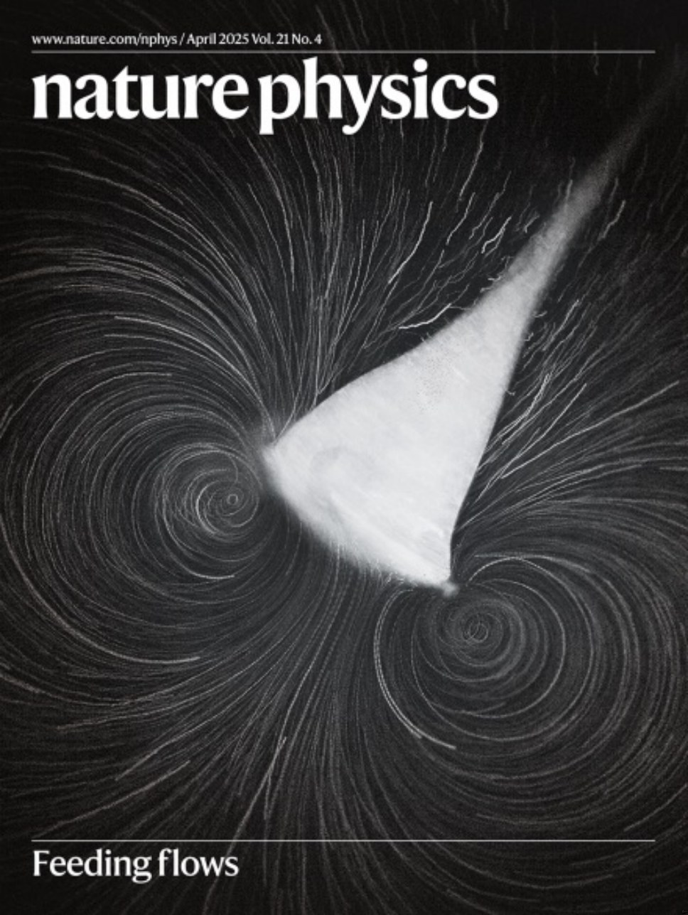 Nature Physics_Volume 21 Issue 4, April 2025 电子版PDF(图1)