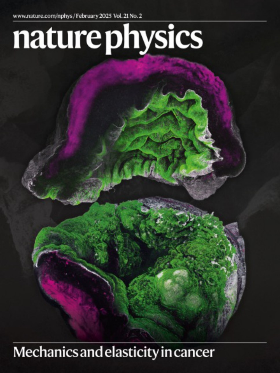 Nature Physics_Volume 21 Issue 2, February 2025 电子版PDF(图1)