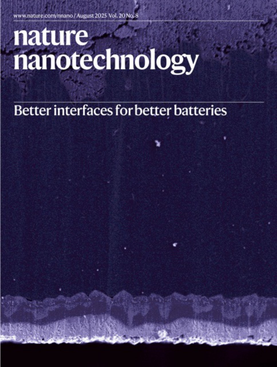 Nature Nanotechnology-Volume 20 Issue 8, August 2025 电子版PDF(图1)