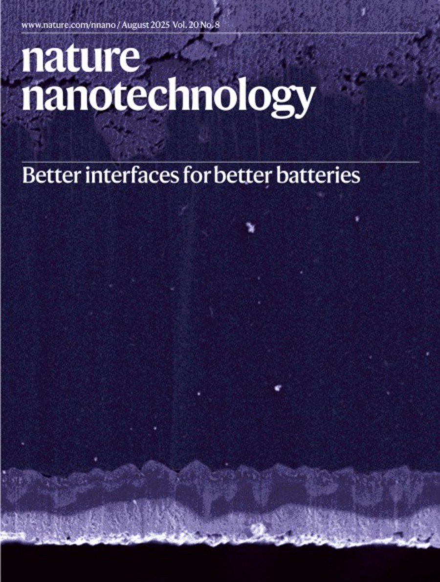 Nature Nanotechnology-Volume 20 Issue 8, August 2025 电子版PDF