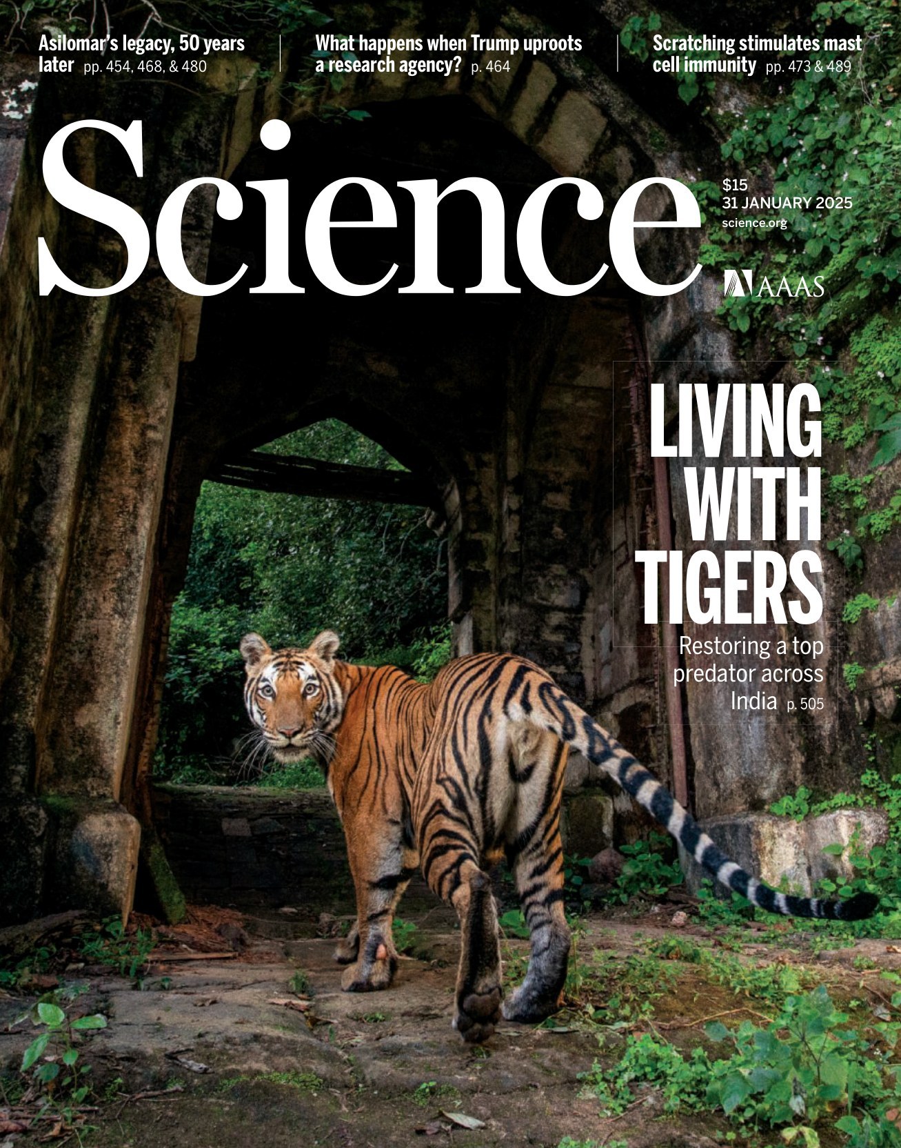 Science USA-2025.01.31 电子版PDF(图1)