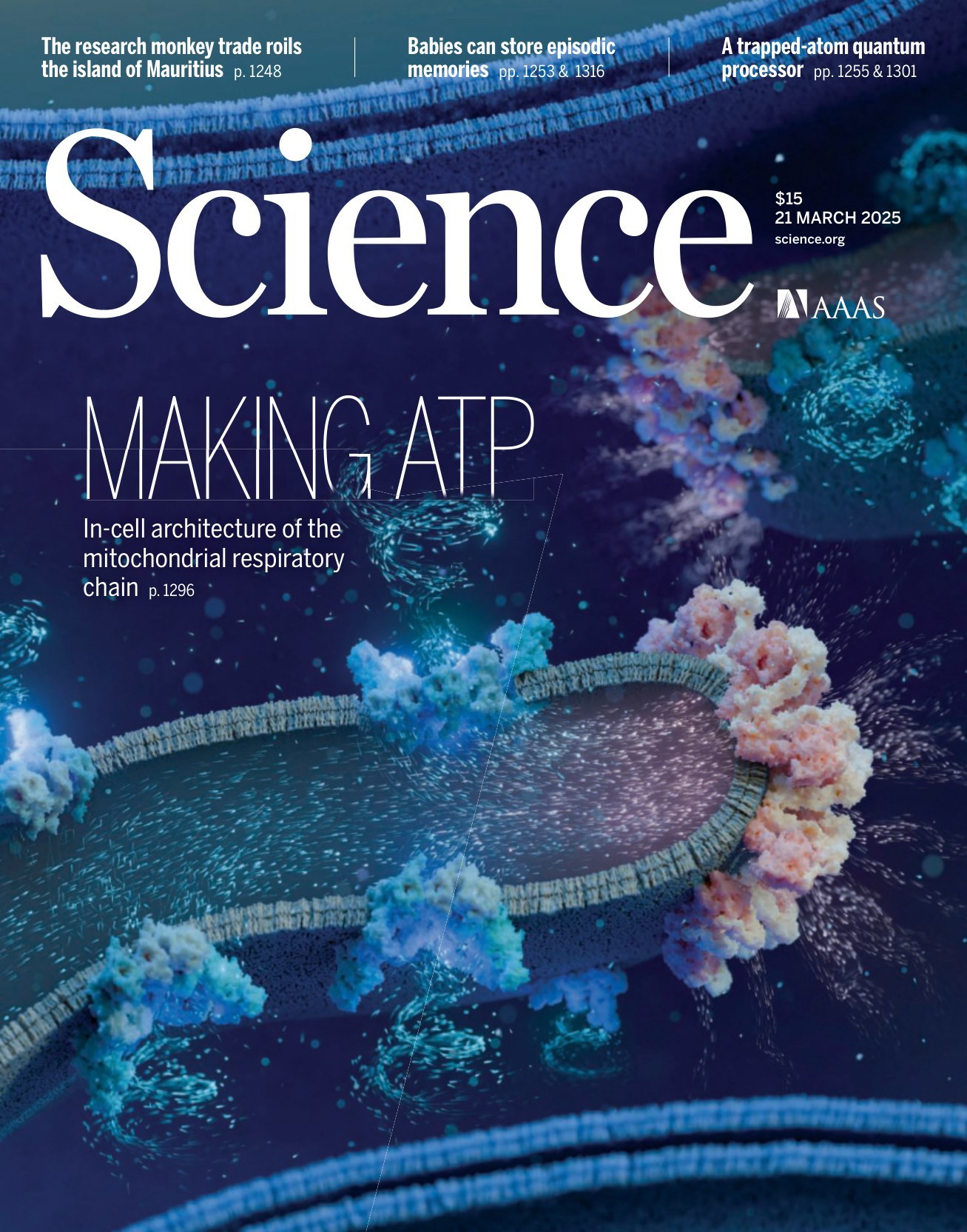 Science USA-2025.03.21 电子版PDF(图1)