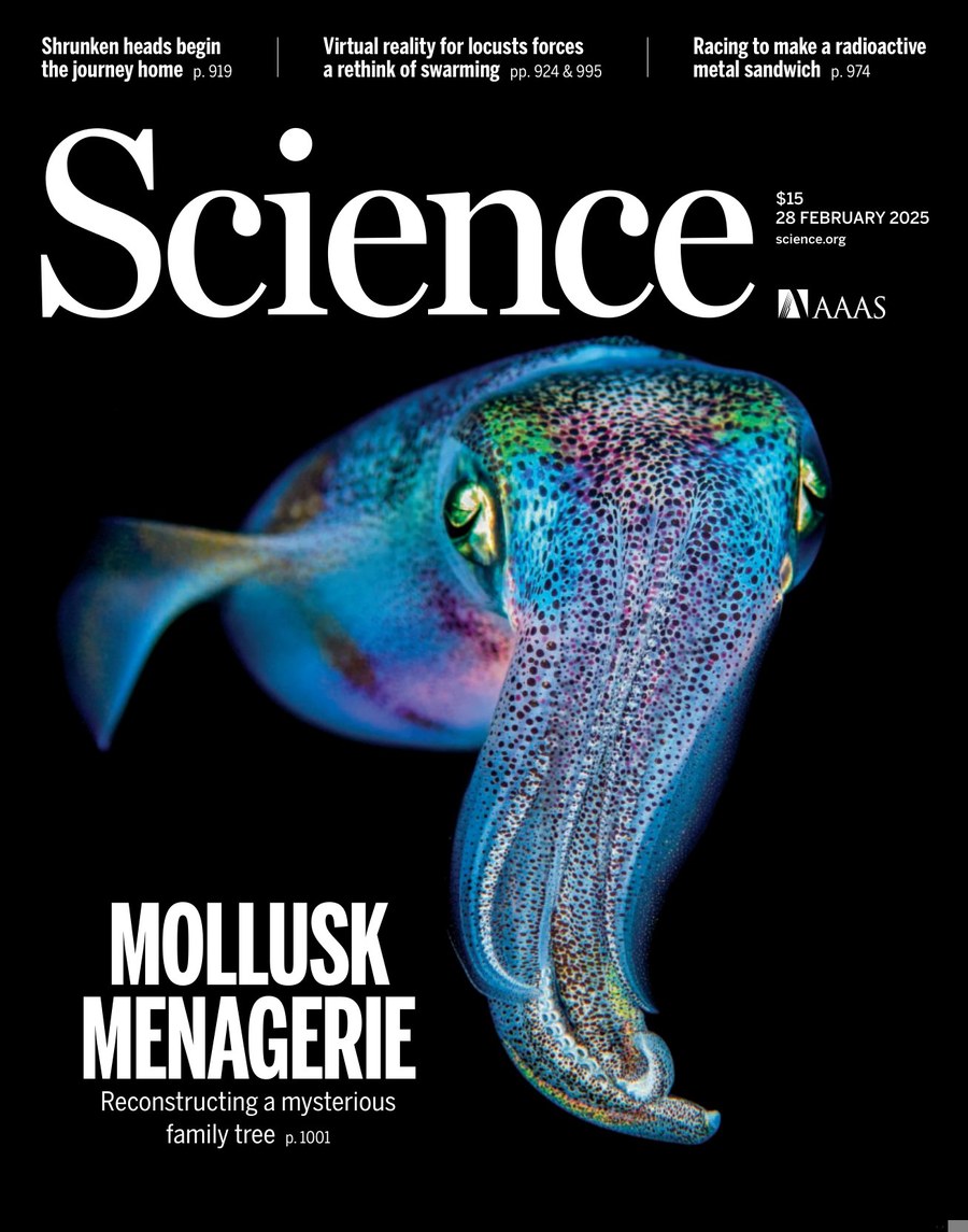 Science USA-2025.02.28 电子版PDF