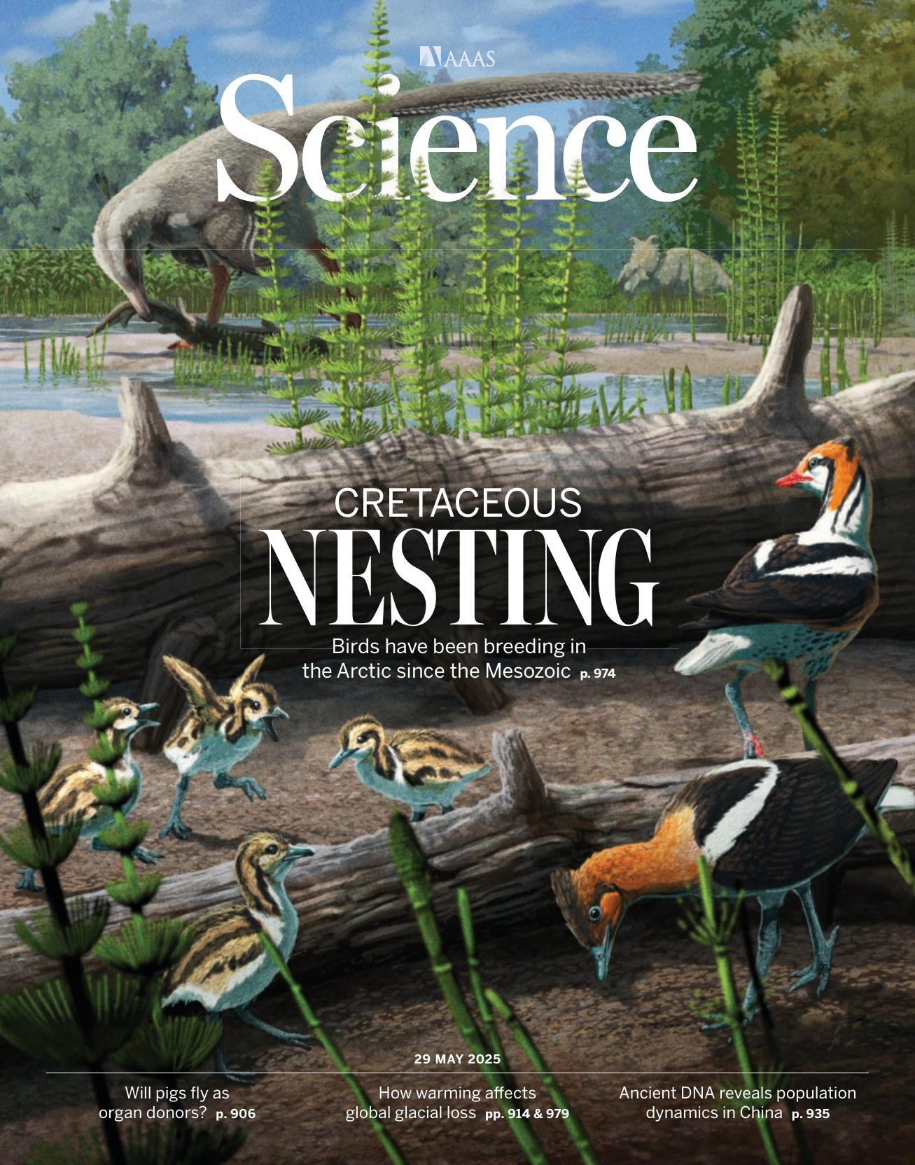 Science USA-2025.05.29 电子版PDF(图1)