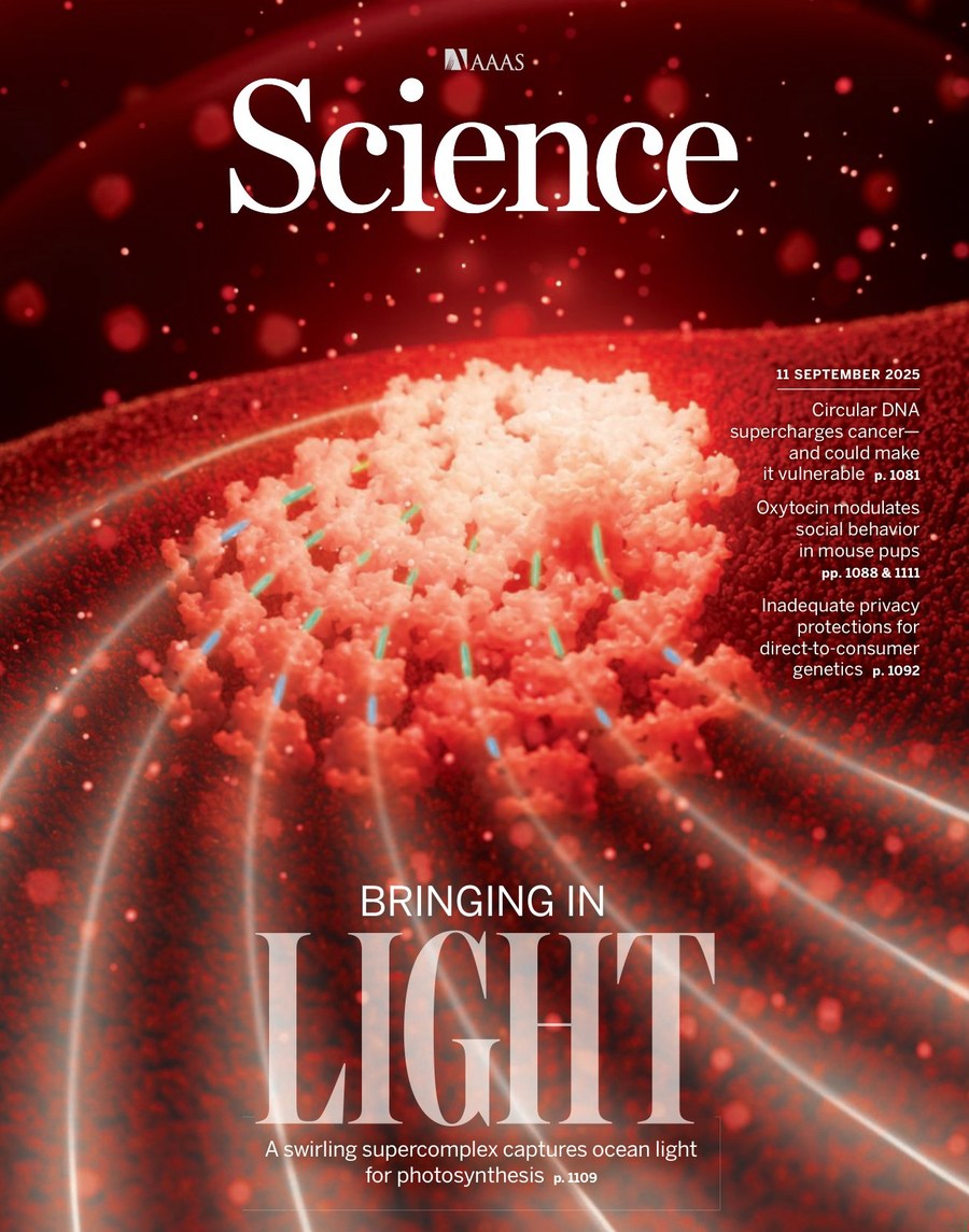 Science USA-2025.11.09 电子版PDF