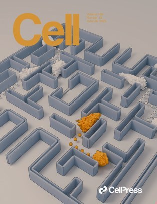 Cell Press_2025.06.26 电子版PDF