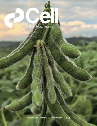 Cell Press_2025.11.13 电子版PDF