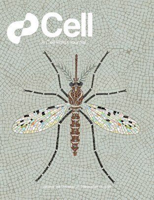 Cell Press_2025.12.11 电子版PDF
