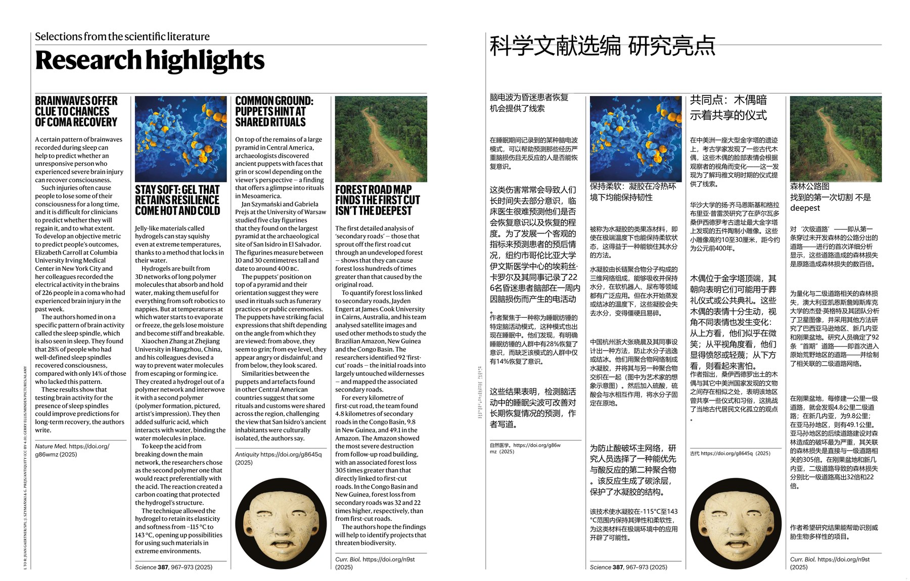 Nature magazine-2025.03.13-双语版 电子版PDF(图3)