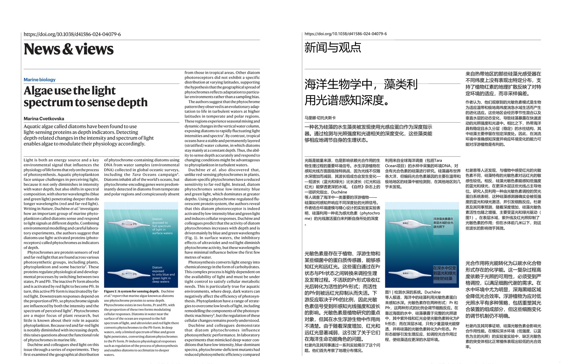 Nature magazine-2025.01.16-双语版 电子版PDF(图2)