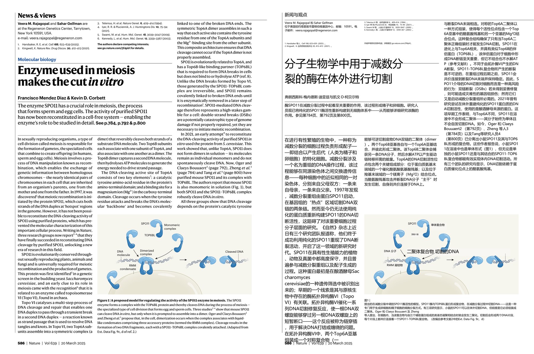 Nature magazine-2025.03.20-双语版 电子版PDF(图3)
