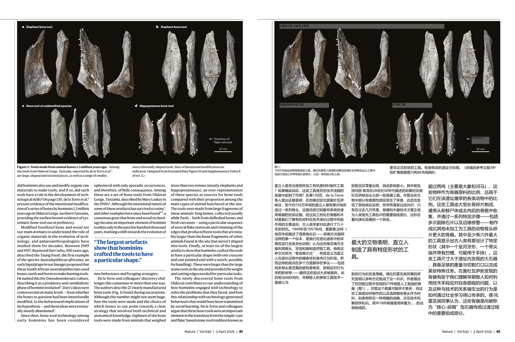 Nature magazine-2025.04.03-双语版 电子版PDF(图3)
