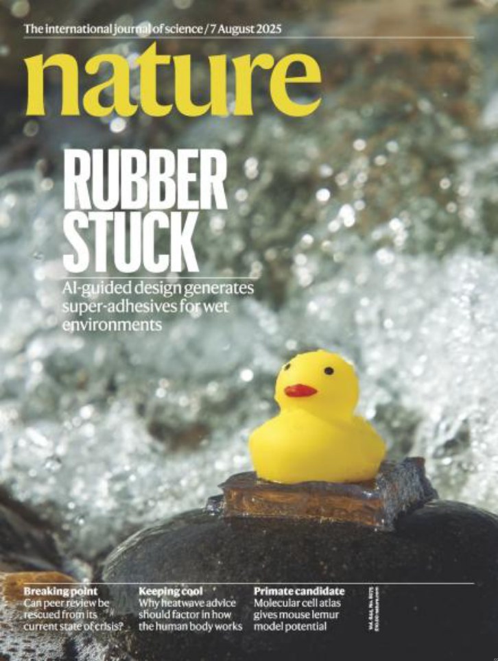 Nature magazine-2025.08.07-双语版 电子版PDF