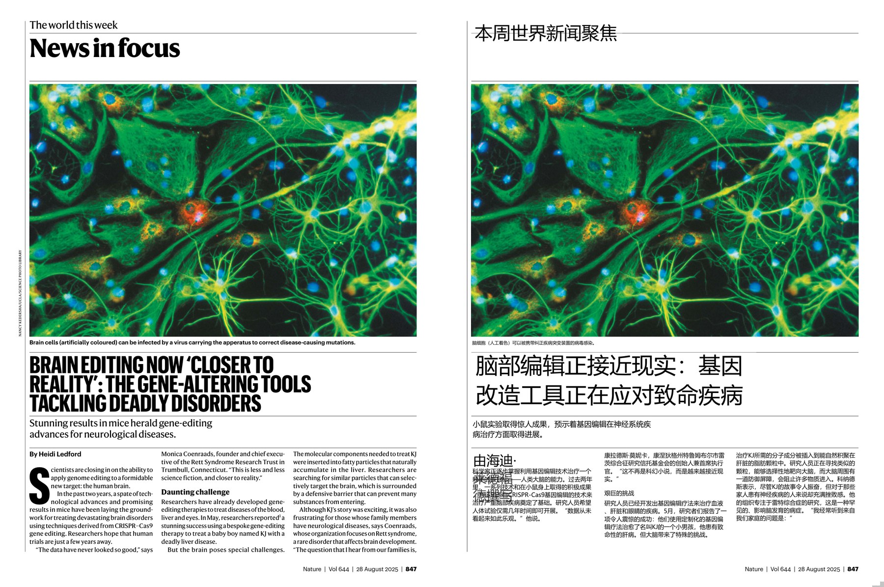 Nature magazine-2025.08.28-双语版 电子版PDF(图3)