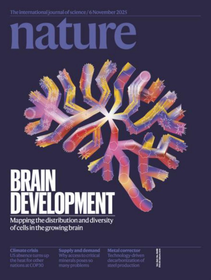 Nature magazine-2025.11.06-双语版 电子版PDF