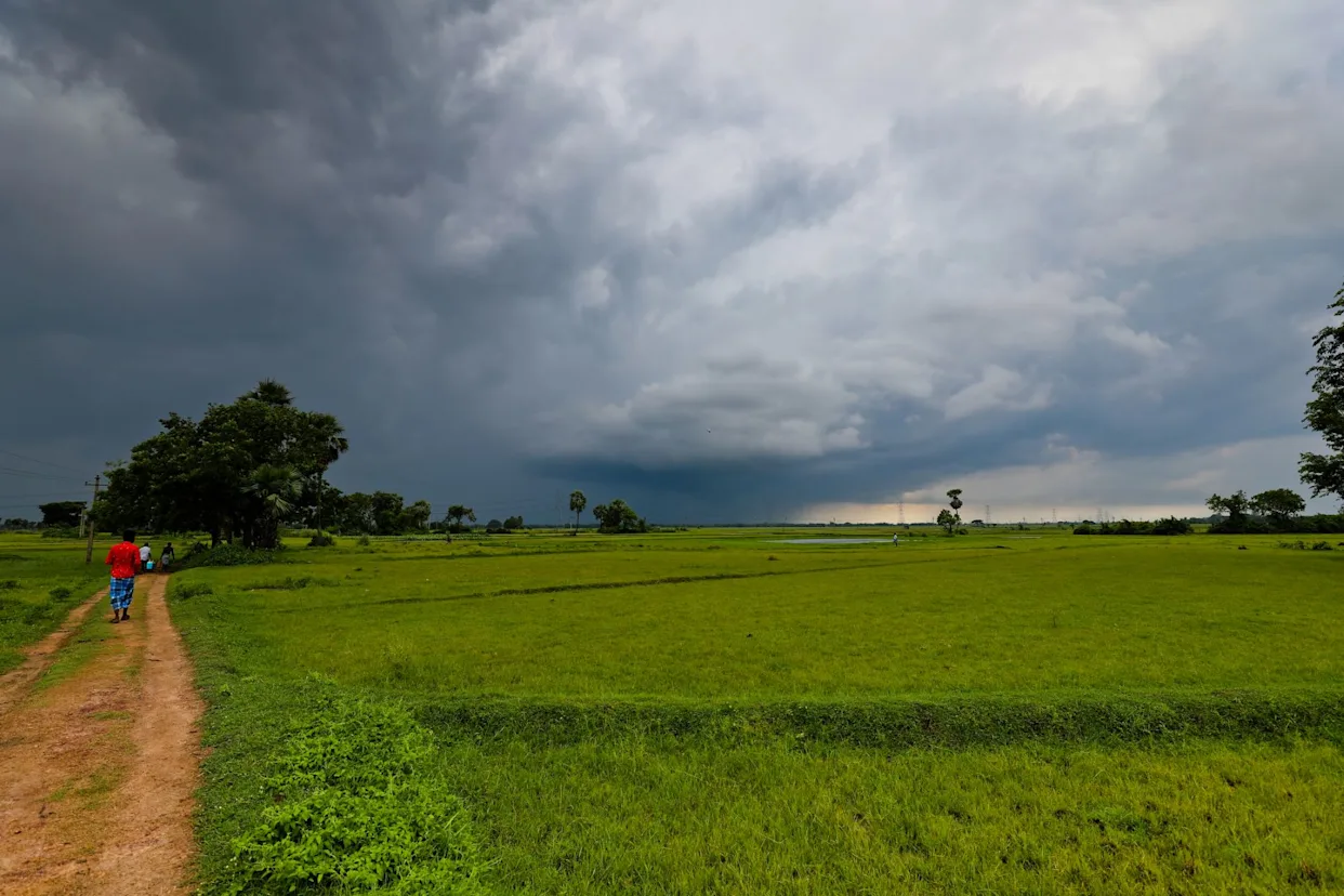 研究人员警告致命风暴风险上升“显著且影响广泛”(图1)