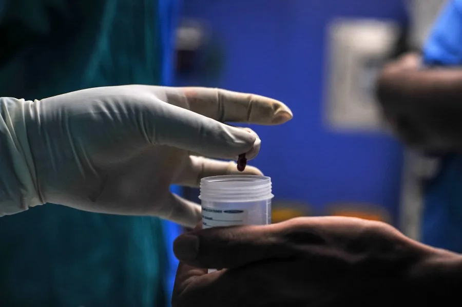 血蛋白或能预防致命真菌感染(图1)