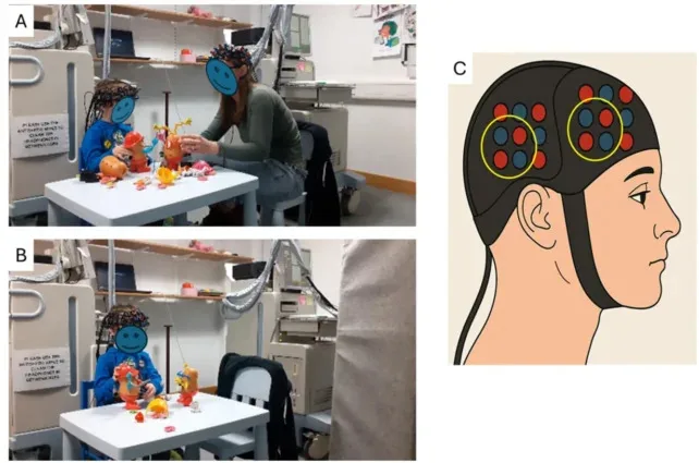 母亲与孩子在非母语中大脑活动同步(图2)