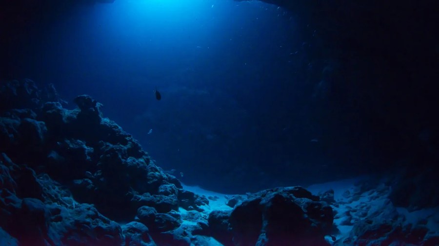 研究人员在海底山脉发现前所未见的生物