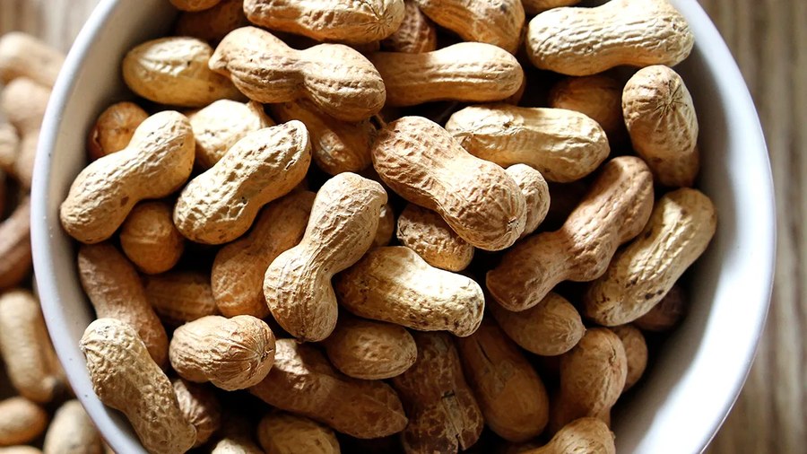 科学家发现花生壳废弃物的惊人实用用途