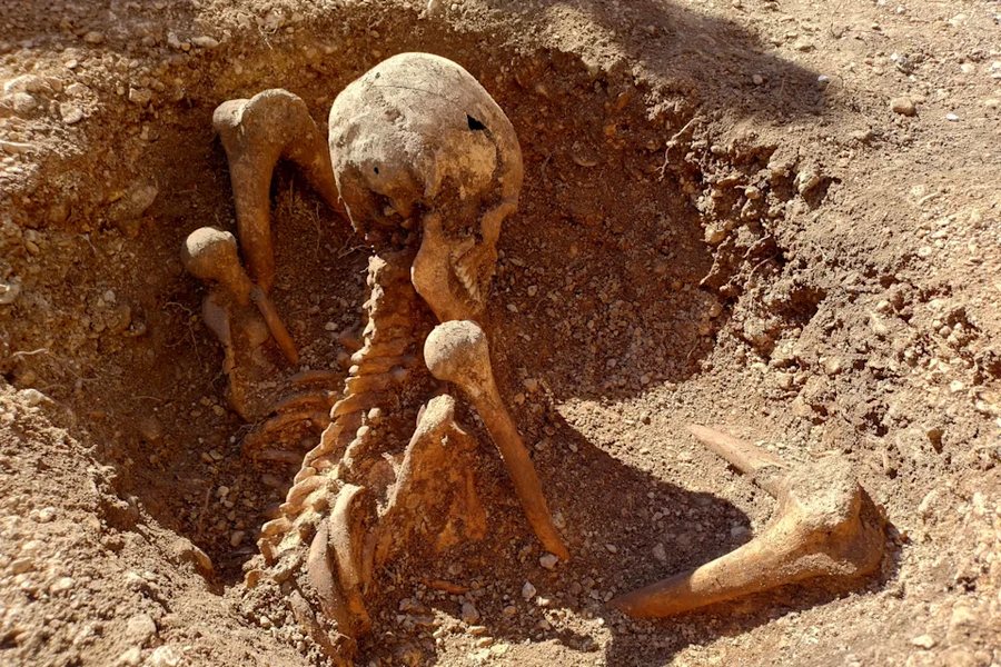 孩子们在游乐场旁发现神秘古代骨架