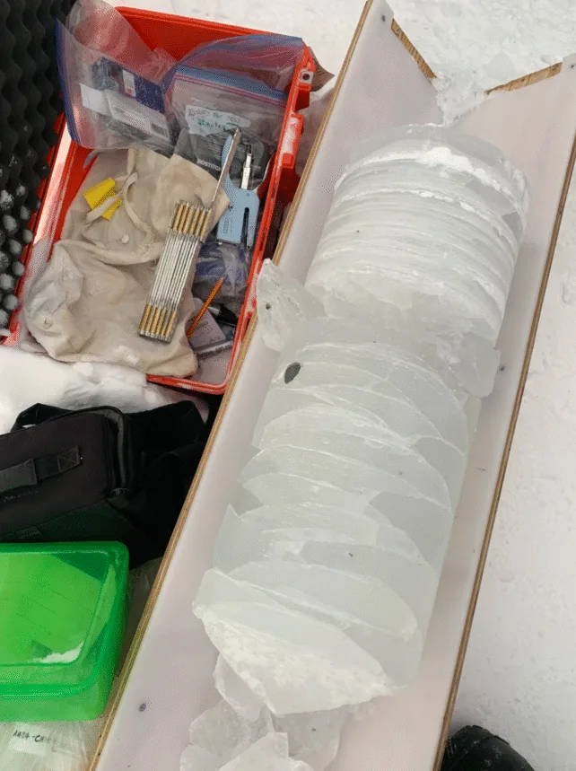 古冰芯揭示驱动气候变化的其他因素(图2)