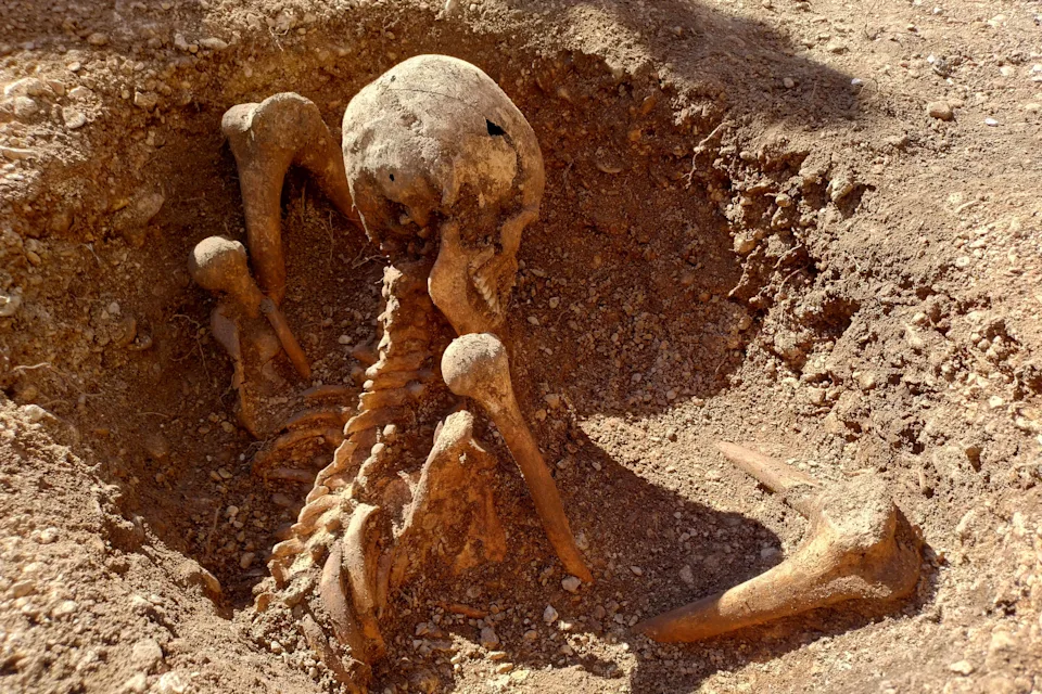 孩子们在游乐场旁发现神秘古代骨架(图1)