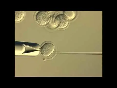 20年研究揭示基因克隆面临瓶颈(图3)