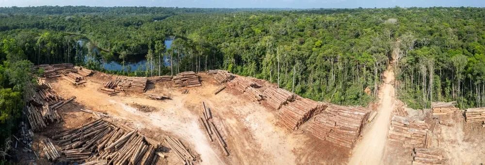 新工具可提前预测野生动物遗传崩溃(图1)