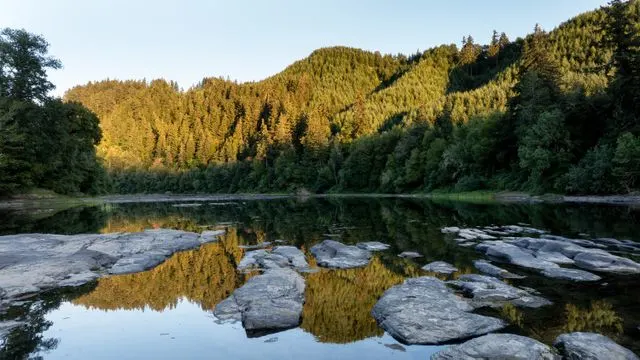 少年出游后失踪 51年后伐木工发现颅骨和骨骼碎片识别(图3)