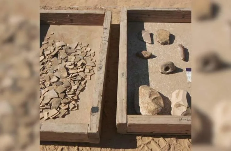 在以色列南部沙丘下发现7000年前的鸵鸟蛋集合(图2)