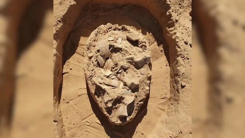 在以色列南部沙丘下发现7000年前的鸵鸟蛋集合