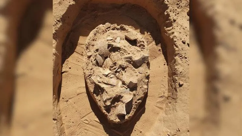在以色列南部沙丘下发现7000年前的鸵鸟蛋集合(图1)