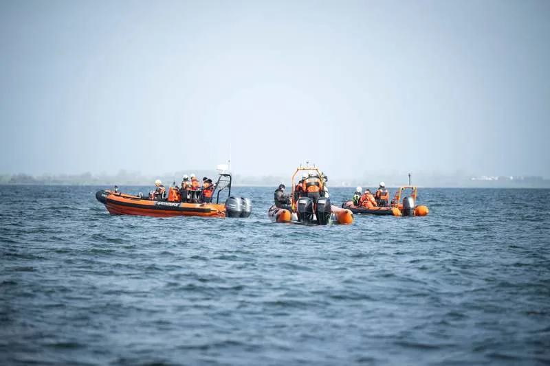 德国海岸附近搁浅鲸鱼处境堪忧(图2)