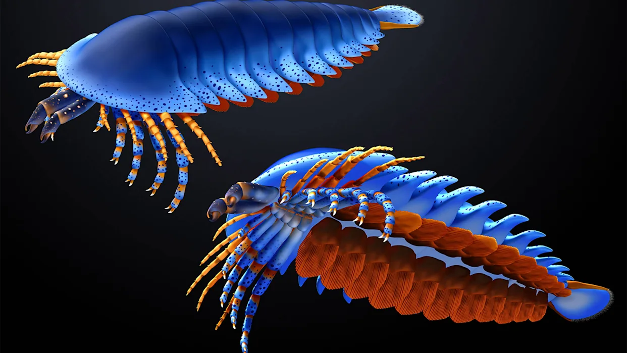 5亿年前的蜘蛛近亲拥有不该有的爪子(图1)