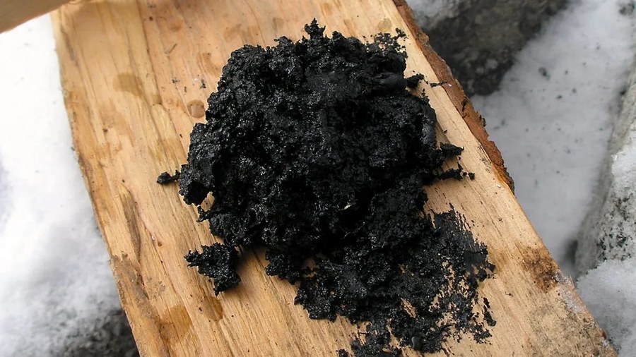 尼安德特人使用古代胶状物作为抗菌药物研究显示