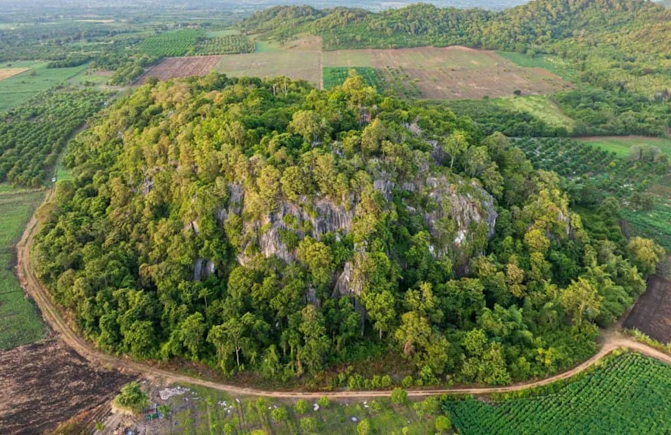 邂逅柬埔寨最新（最蓝）的洞蝰(图8)