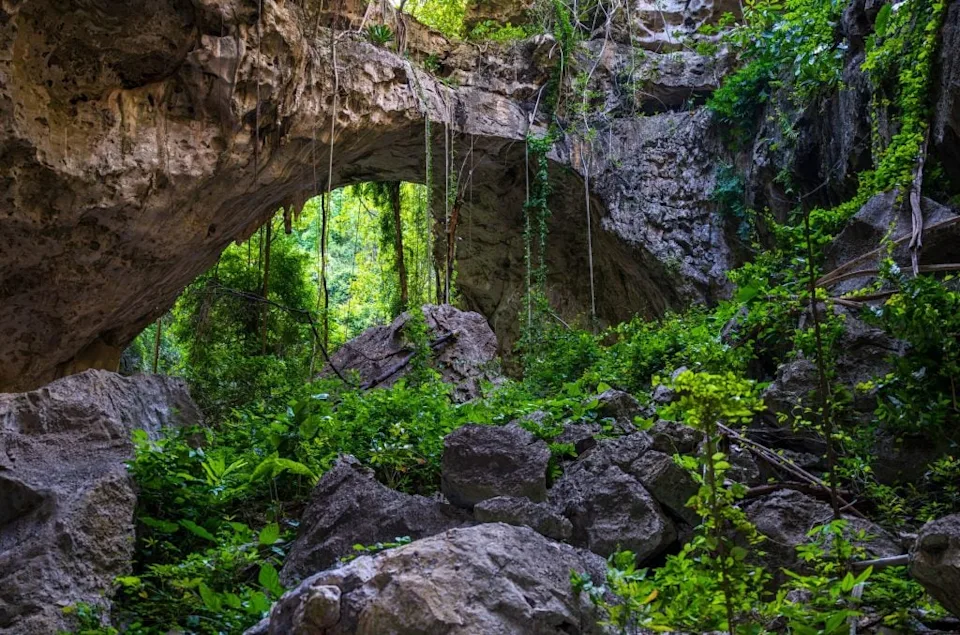 邂逅柬埔寨最新（最蓝）的洞蝰(图10)