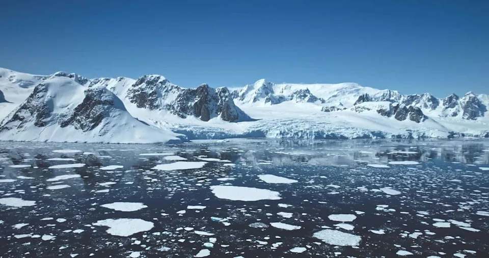 海洋酸化可能正在悄悄损害鲨鱼牙齿(图2)