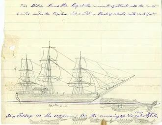 科学家首次用摄像机捕捉到抹香鲸对撞行为(图2)