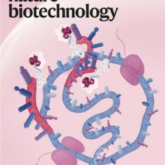 Nature Biotechnology-Volume 43 Issue 7, July 2025 电子版PDF