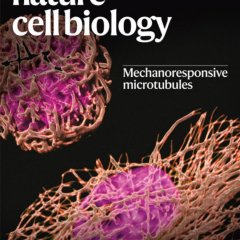 Nature Cell Biology-Volume 27 Issue 10, October 2025 电子版PDF