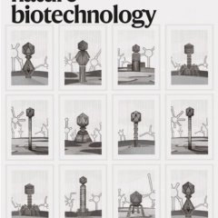 Nature Biotechnology-Volume 43 Issue 6, June 2025 电子版PDF